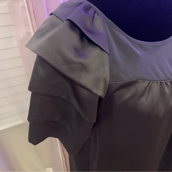 NWT Walter by Walter Gray Silkly Satin Like Shift Dress Size Medi… - Picture 3 of 9